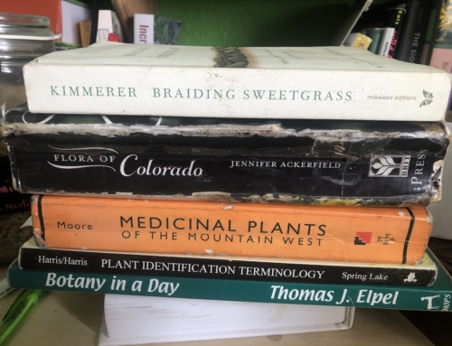 Teach Yourself Botany: The Resources That Will Get You Started